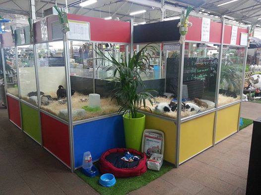 EXPOSITION-VENTE DE CHIOTS à la Jardinerie VILLAVERDE ROCCHIETTA DE MEYREUIL