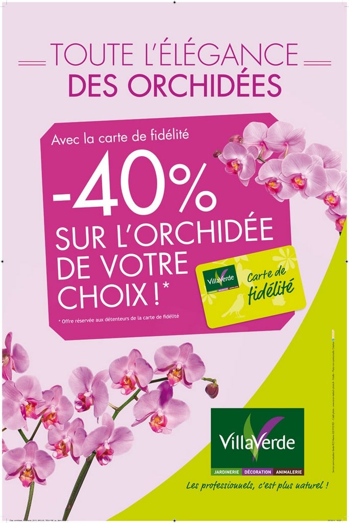 -40% sur une orchidée de votre choix* du 16 au 31 janvier 2016 inclus