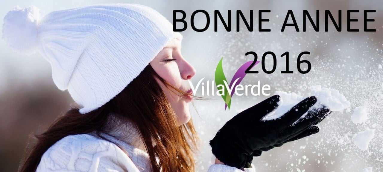 BONNE ANNÉE 2016