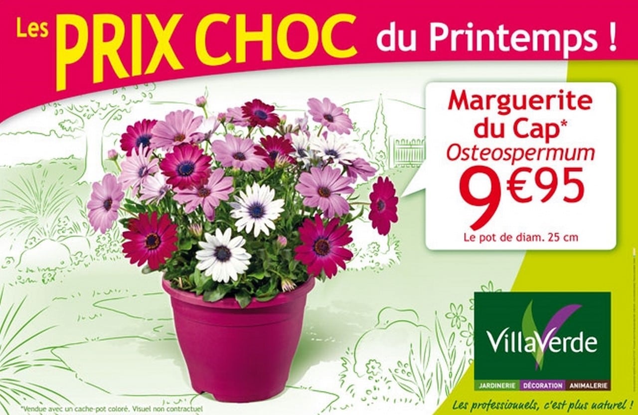 LES PRIX CHOC DU PRINTEMPS DU 2 AU 17 AVRIL 2016