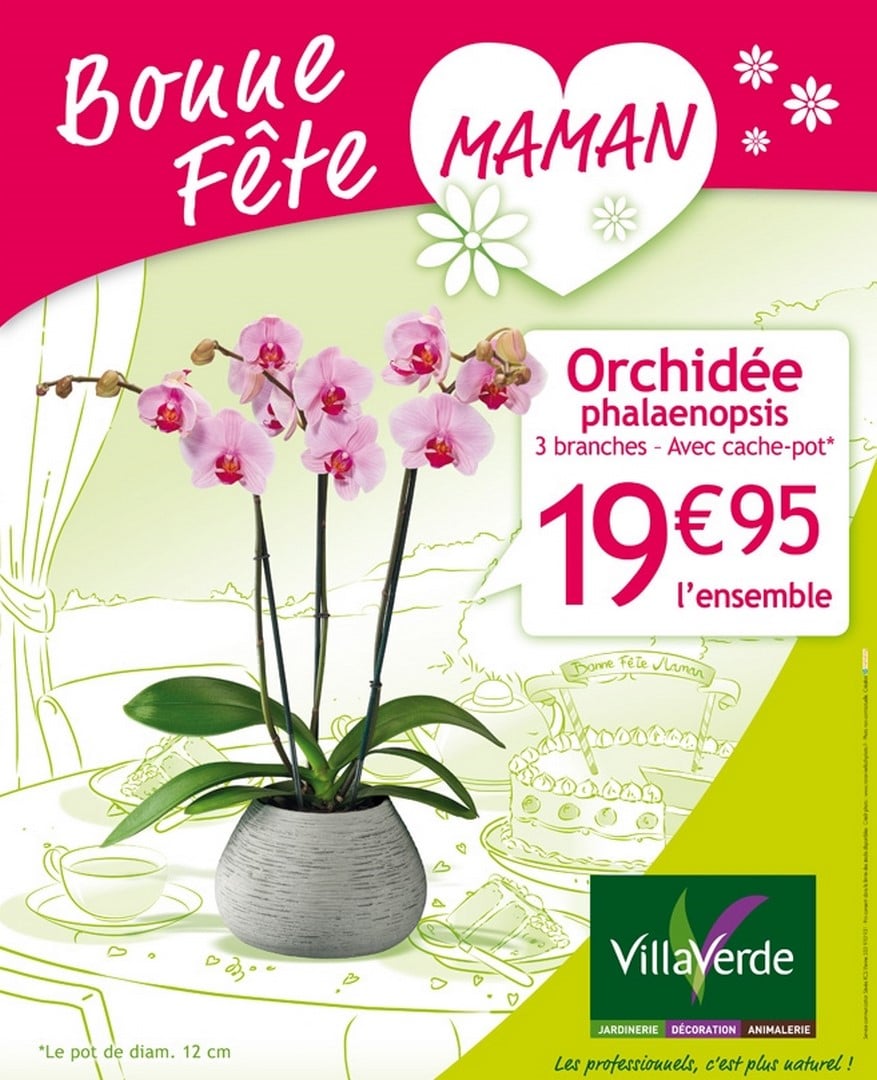 BONNE FÊTE MAMAN  ORCHIDÉE PHALAENOPSIS 3 BRANCHES AVEC CACHE POT