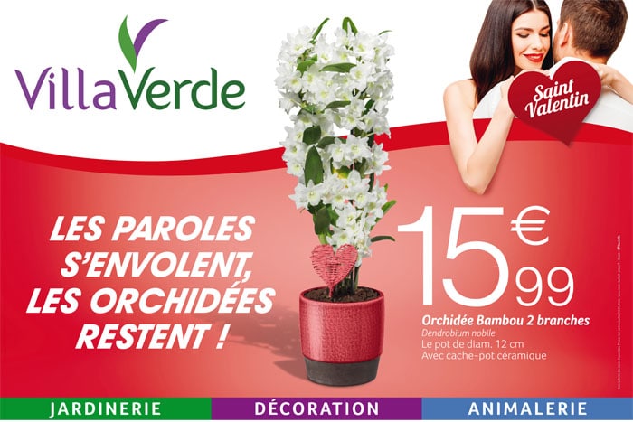 LA SAINT VALENTIN CHEZ VILLAVERDE