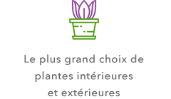 jardinerie avec chois de plante