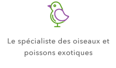 oiseaux et poissons exotique en provence