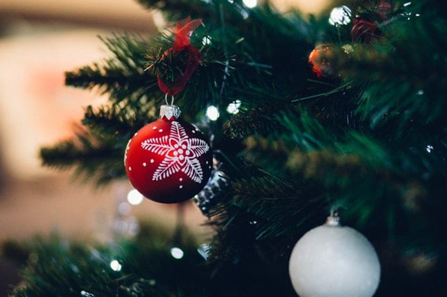 Votre sapin de noel en jardinerie rocchietta à Aix, La Garde, Hyeres, Port Grimaud, Fréjus et Le Beausset