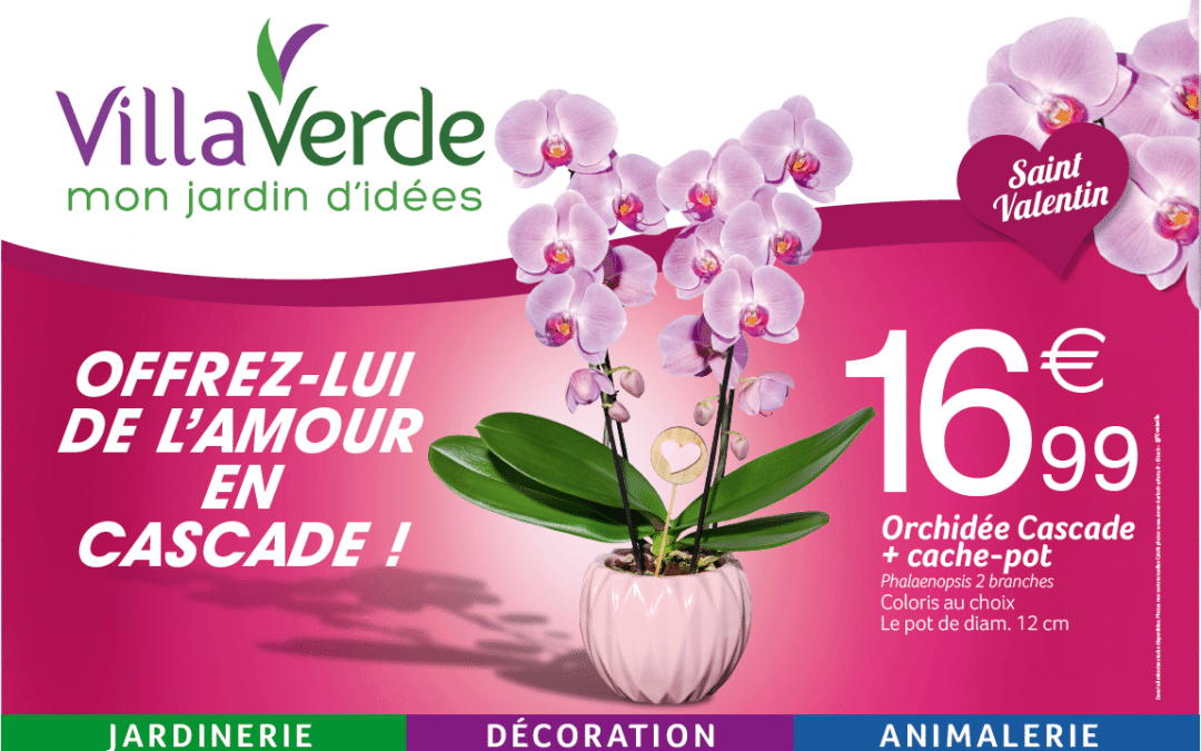 LA SAINT VALENTIN OFFREZ-LUI DE L’AMOUR EN CASCADE !