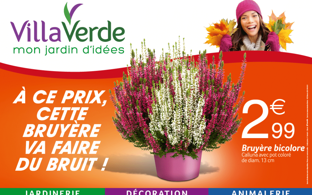 PROMOTION D’AUTOMNE BRUYÈRE