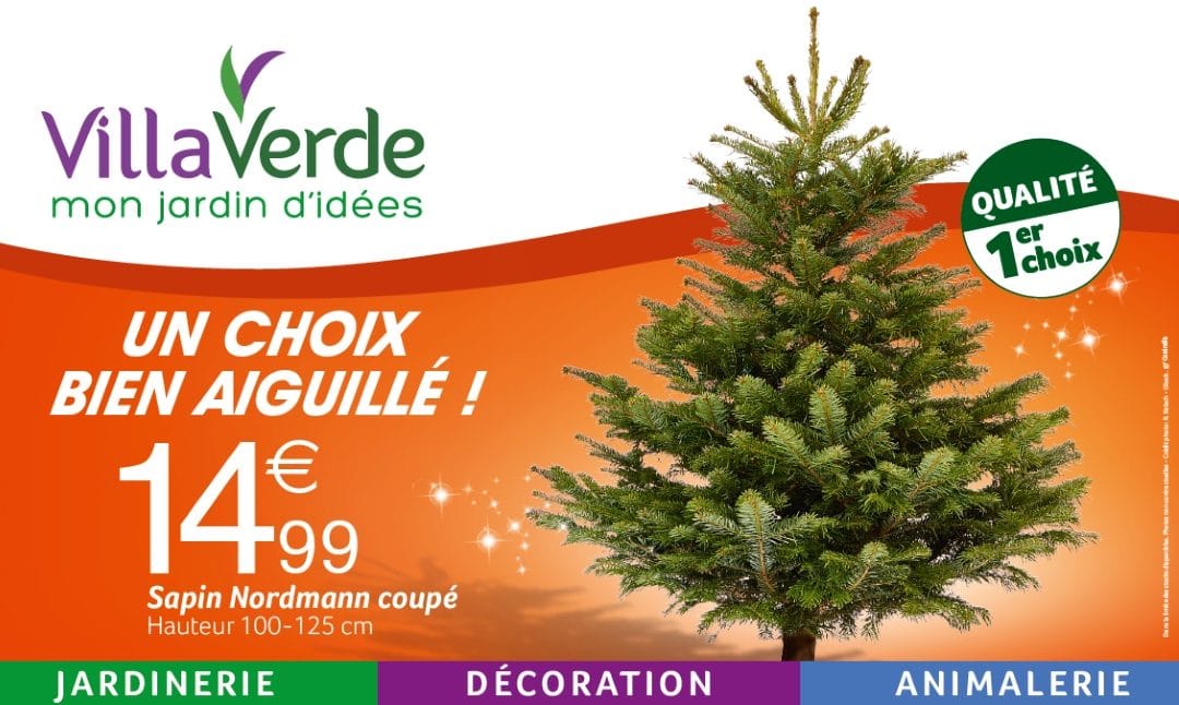 MON BEAU SAPIN ROI DES FORETS