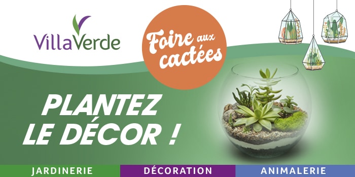 foire aux cactées chez Villaverde « Plantez le décor »