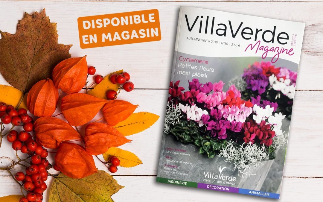 VILLAVERDE MAGAZINE