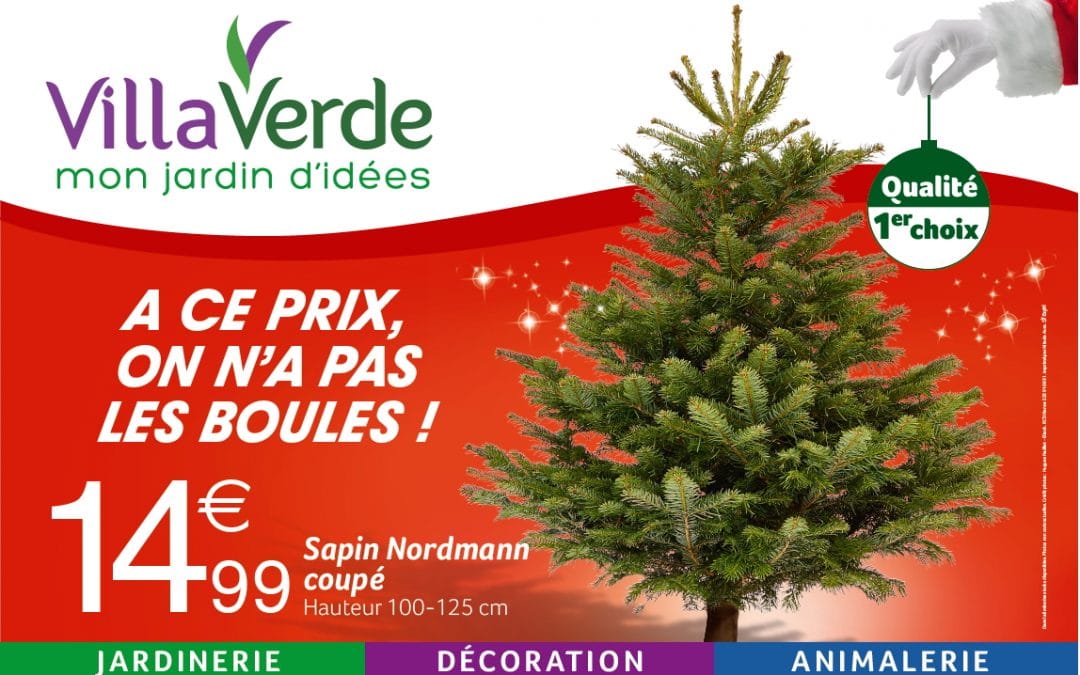 PROMOTION SAPIN DE NOEL